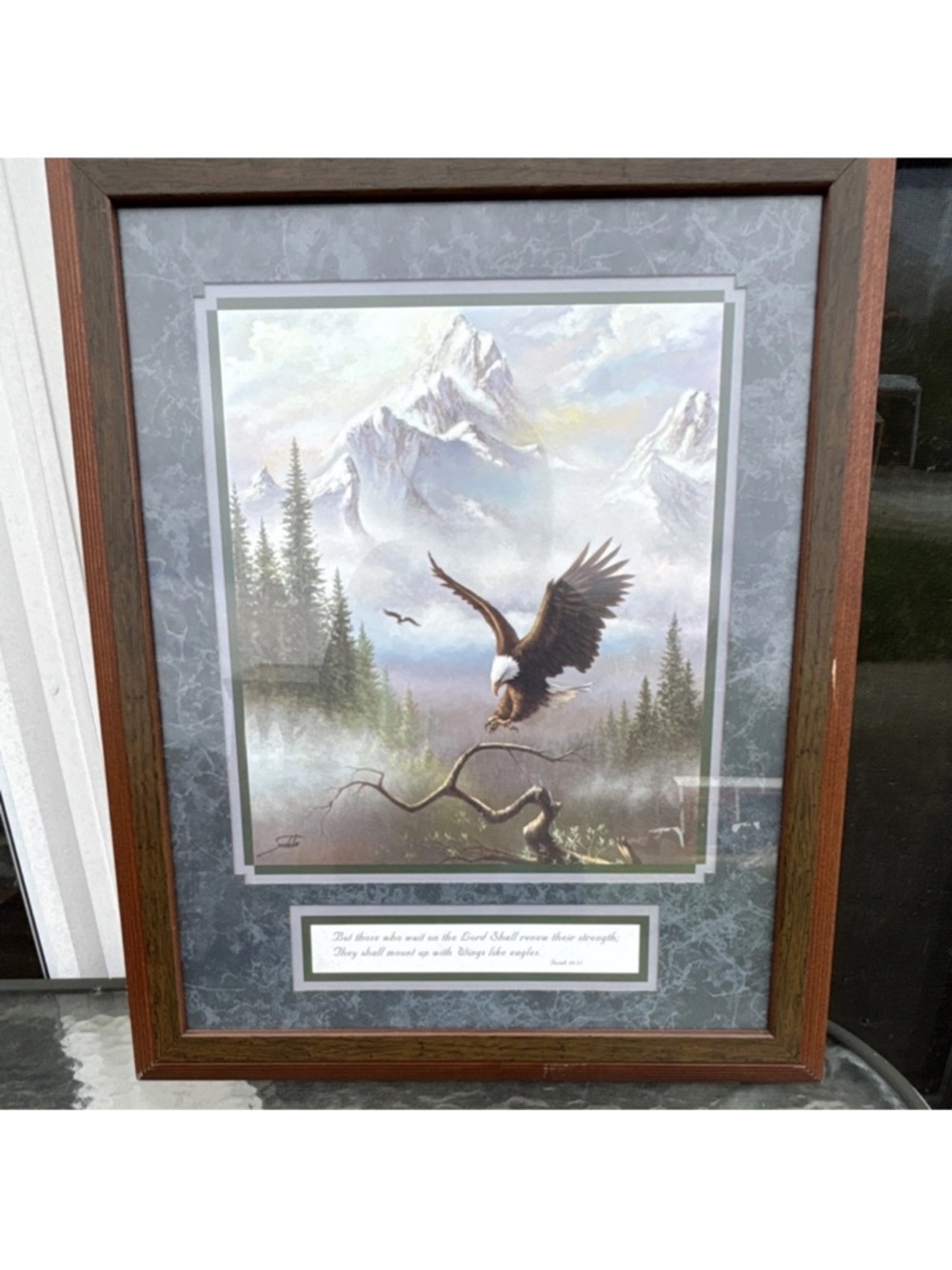 Framed Eagle Mountain Print in Brown Frame